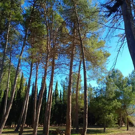 Finca Micalas 3*