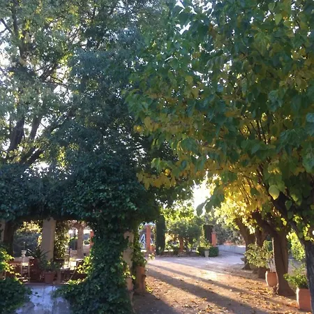 Finca Micalas 3*